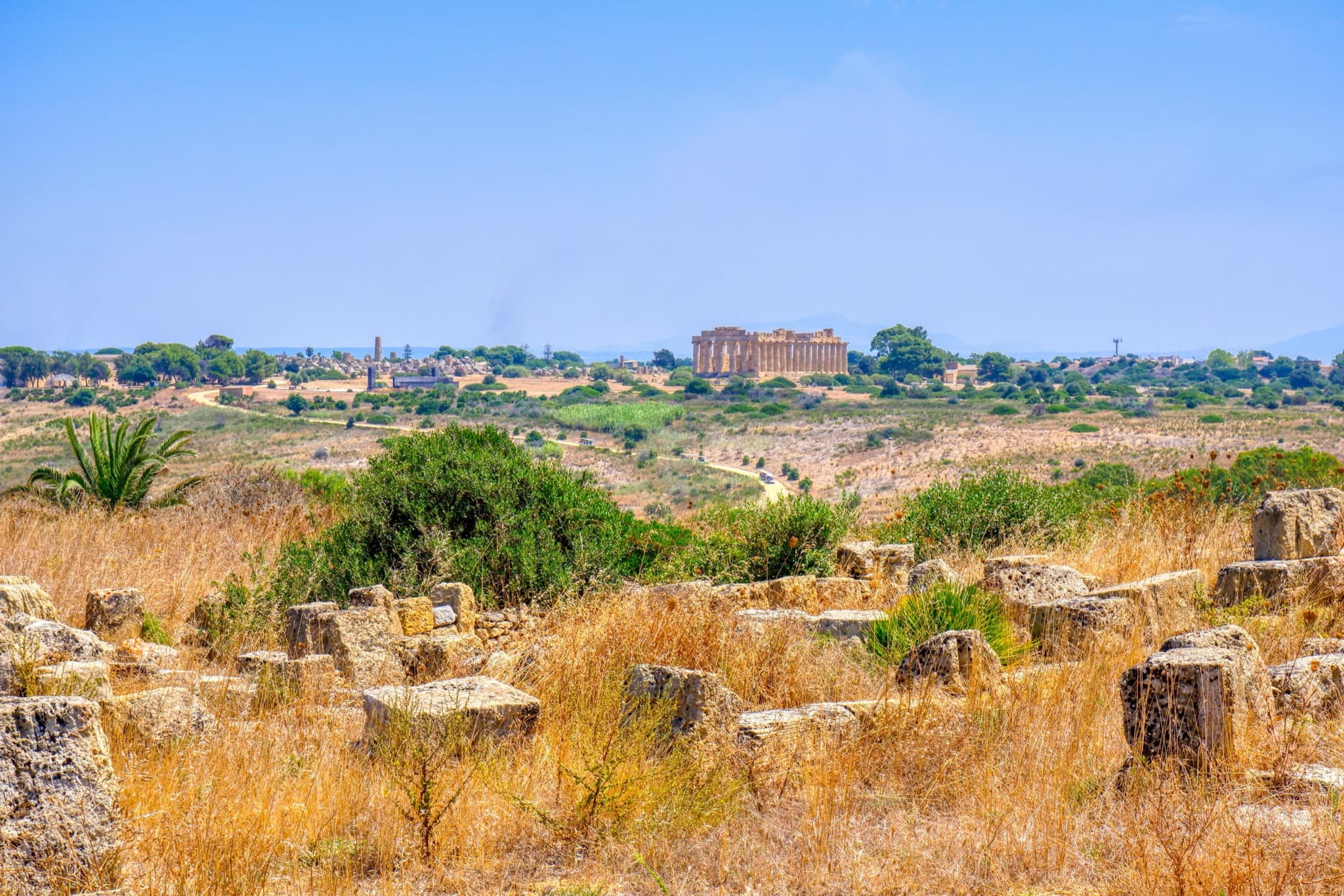 Selinunte: Europe's largest Greek park, ninety minutes from Palermo.